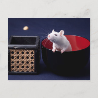 Carte postale Luna Table