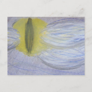 Carte Postale lune aux yeux de chat