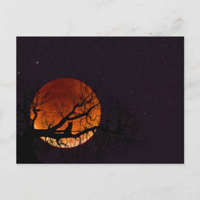 Carte Postale Lune de récolte avec la silhouette d'arbre et de (Devant)