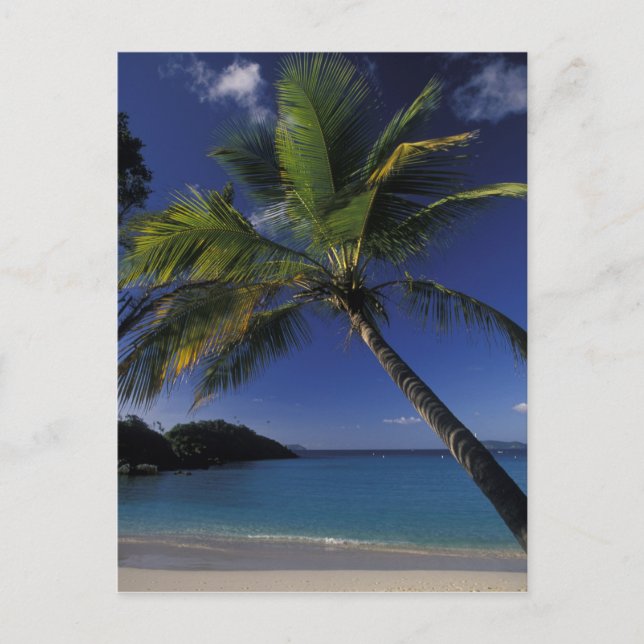 Carte Postale L'une des meilleures plages du monde ; Trunk Bay s (Devant)