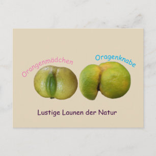 Carte Postale Lustige Orangen