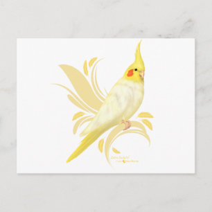 Carte Postale Lutino Cockatiel