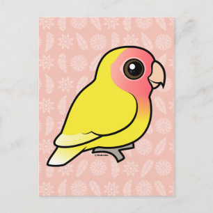 Carte Postale Lutino Peach face Lovebird