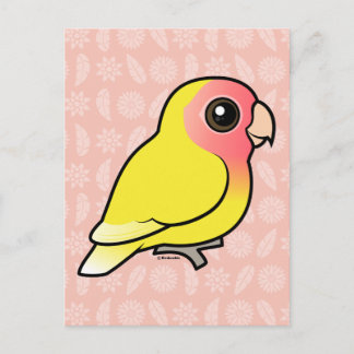 Carte Postale Lutino Peach face Lovebird