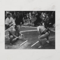 Lutte SUMO
