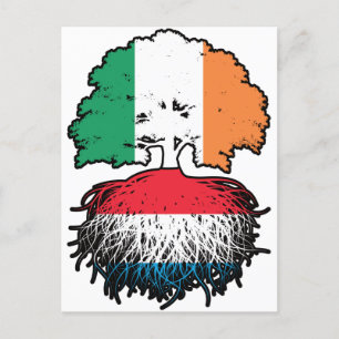 Carte Postale Luxembourg Luxembourg Irlande irlandaise racines d