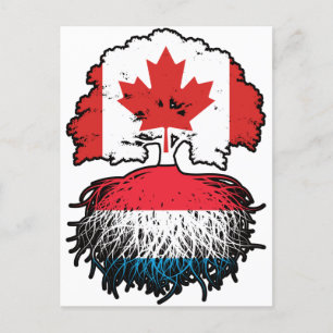 Carte Postale Luxembourg Luxembourgeois Canadian Canada Tree Roo