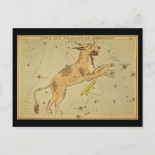 Carte Postale Lynx et Telescopium Herschilii