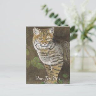 Carte Postale Lynx roux