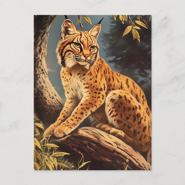 Carte Postale Lynx vintage (Devant)