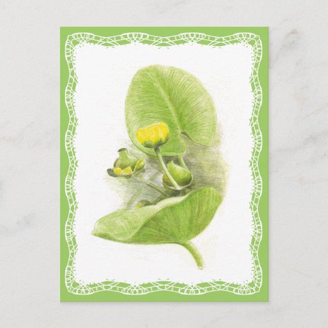 Carte Postale Lys de fleurs (Devant)