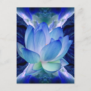 Carte Postale Lys de lotus bleu