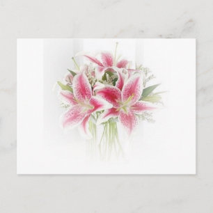 Carte Postale lys de tigre rose et blanc