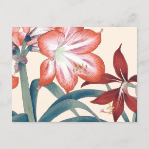 Carte Postale Lys floraux d'art vintage japonais