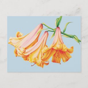 Carte Postale Lys orange sur le crayon bleu aquarelle art