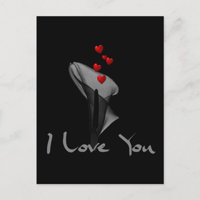 Carte Postale Lys sanguins (Devant)