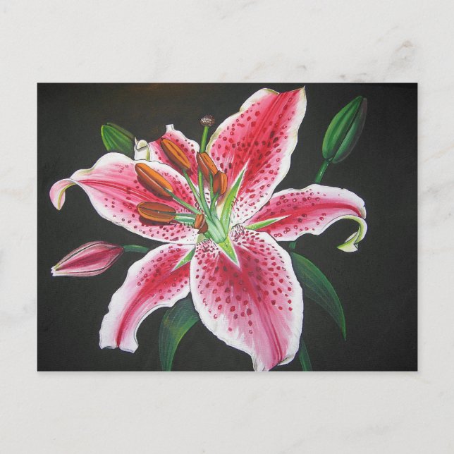 Carte Postale Lys stargazer (Devant)