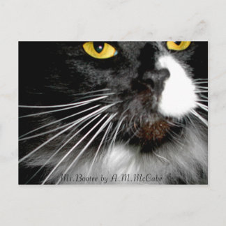 Carte Postale "M. Bootee"