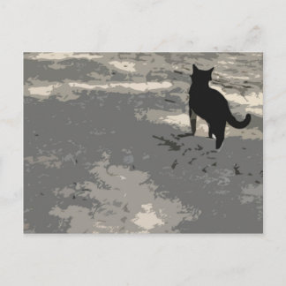 Carte postale M. Cat 010