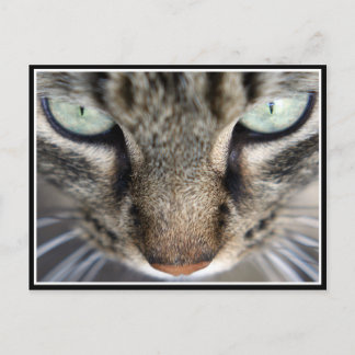 Carte Postale M. Face
