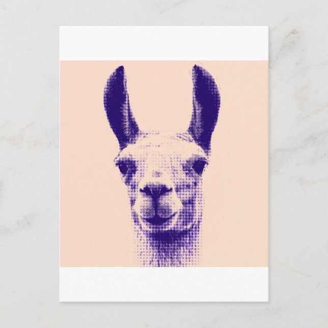Carte Postale M. Llama (Devant)