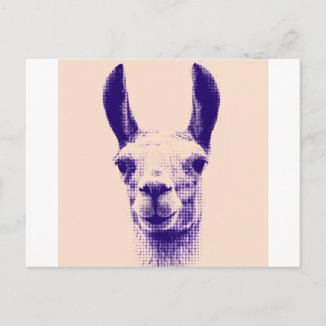 Carte Postale M. Llama (Devant)