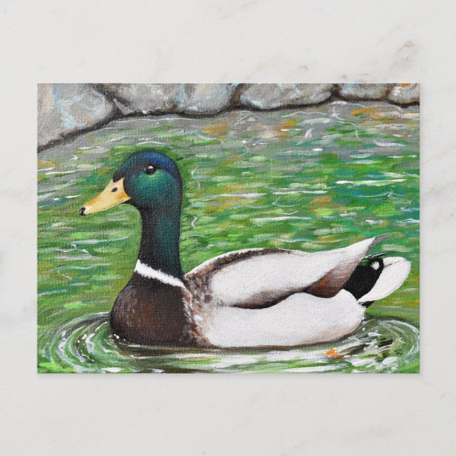 Carte Postale M. Mallard Peinture de canard (Devant)