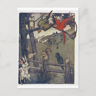 Carte Postale M. Owl Donne Une Fête