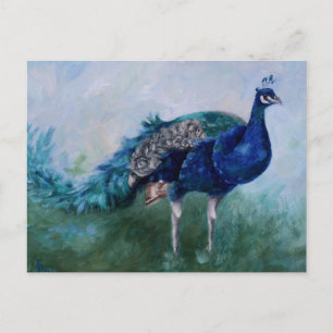 Carte postale M. Peacock
