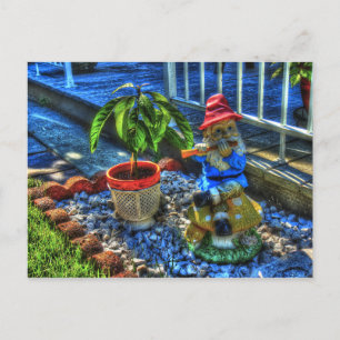 Carte Postale M. Piper Gnome -