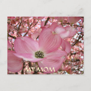 CARTE POSTALE Ma Mère La Plus Douce Vie FLEURS DE