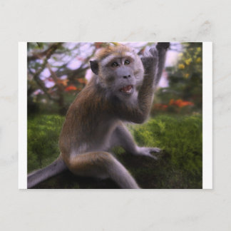 Carte Postale Macaque