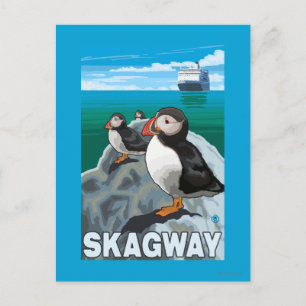 Carte Postale Macareux & Bateau de croisière - Skagway, Alaska
