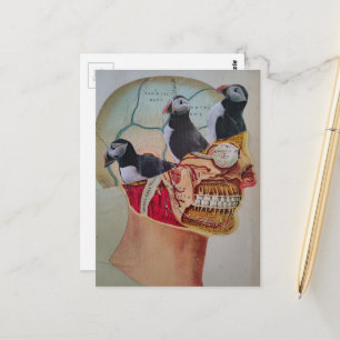 Carte Postale Macareux dans le cerveau collage de médias mixtes