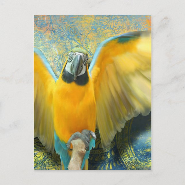 Carte postale Macaw (Devant)