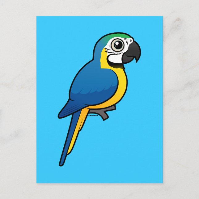 Carte Postale Macaw bleu et jaune (Devant)