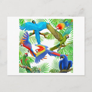 Carte postale Macaw Jungle