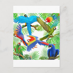 Carte postale Macaw Jungle