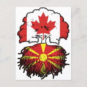 Carte Postale Macédoine Macédonienne Racines canadiennes d'arbre