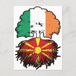 Carte Postale Macédonienne Irlande irlandaise Drapeau des racine