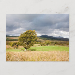 Carte Postale Machrie Moor