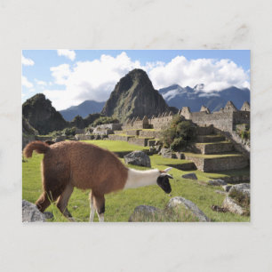 Carte Postale Machu Picchu