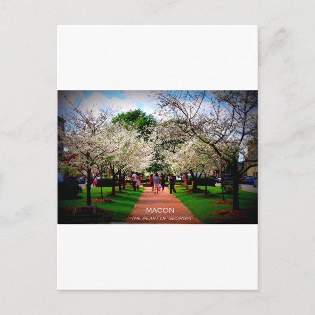 Carte Postale Macon, Géorgie (Devant)