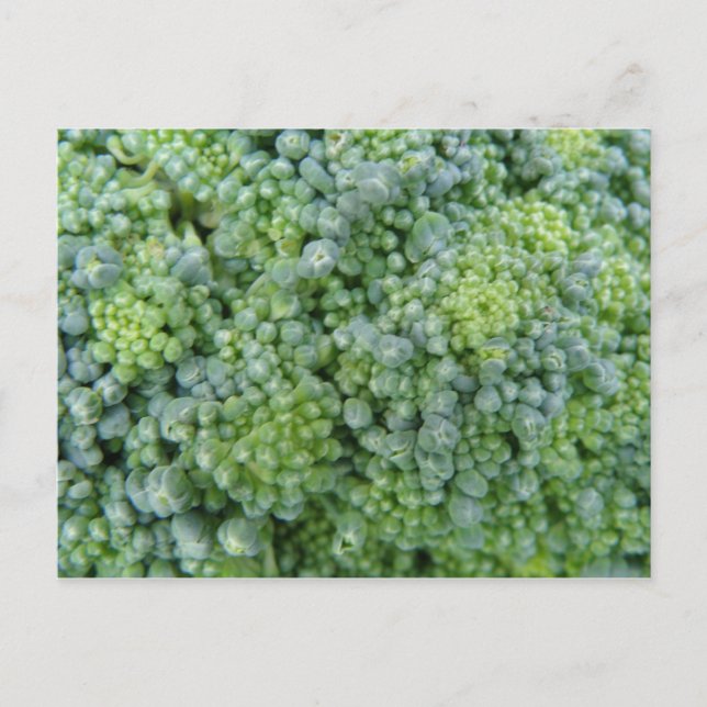Carte postale Macro Broccoli (Devant)