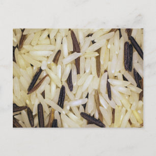 Carte Postale macro grains de riz