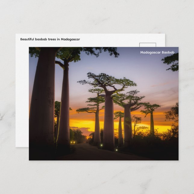 Carte postale Madagascar (Devant / Derrière)