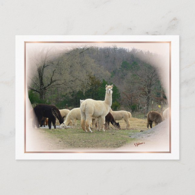 Carte postale Madame Pompadour (Devant)