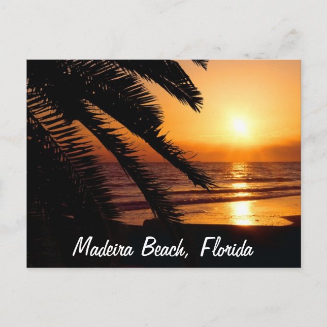 Carte Postale Madeira Beach Floride (Devant)