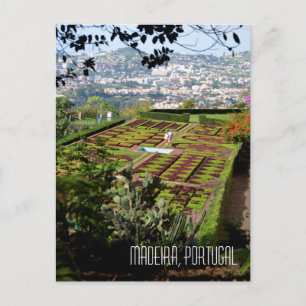 Carte Postale Madeira Funchal Botanique Jardin Souvenir