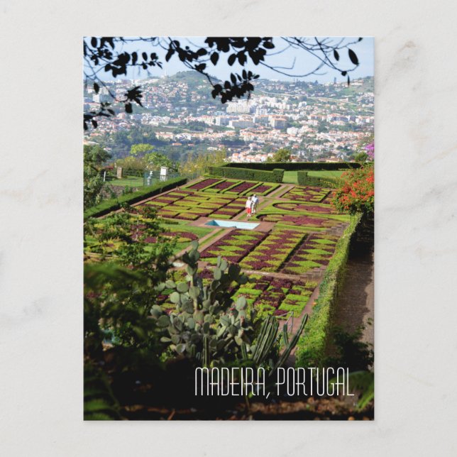 Carte Postale Madeira Funchal Botanique Jardin Souvenir (Devant)